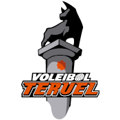 Pamesa Teruel Voleibol